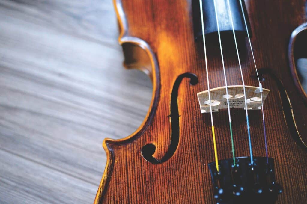 5 Reasons to Learn the Violin