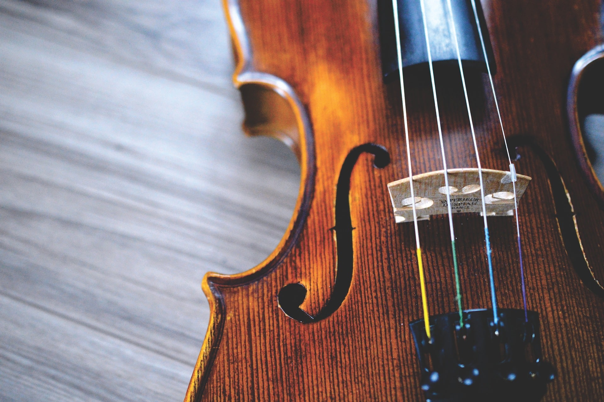 5 Reasons to Learn the Violin